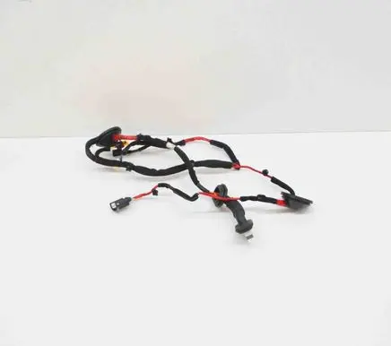Hyundai Ioniq Rear door wiring loom 91650G2401