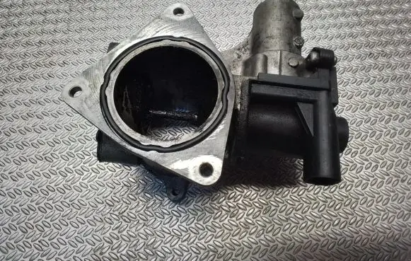 Volkswagen Crafter EGR valve 502040000