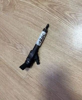Renault Scenic II - Grand scenic II Fuel injector 0445110021 7700111014