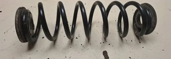 Rear coil spring