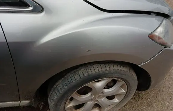 Fender