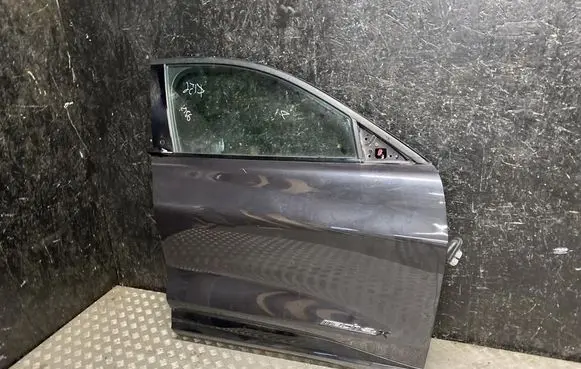 Ford Mustang Mach-E Front door 