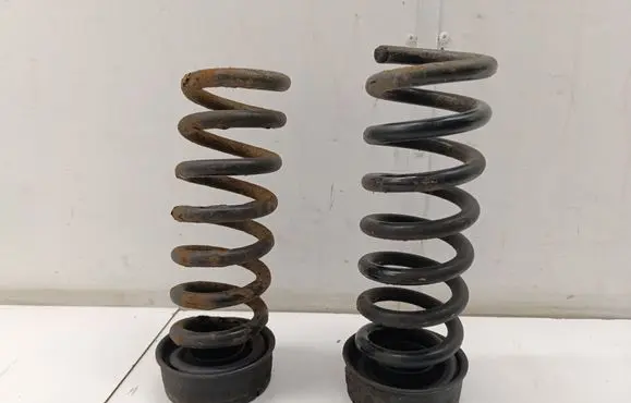 Rear coil spring