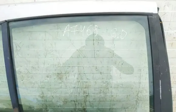 Rear door window glass