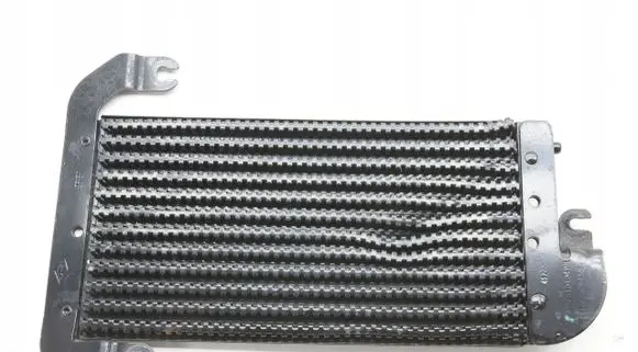 Opel Vivaro Fuel cooler (radiator) 175104049R