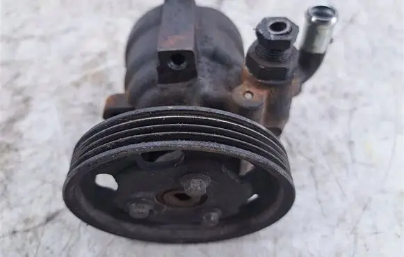 Renault Thalia II Power steering pump 491105133R