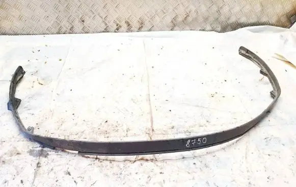 Front bumper lip