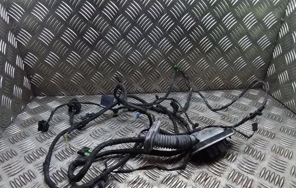Front door wiring loom