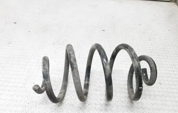 Rear coil spring