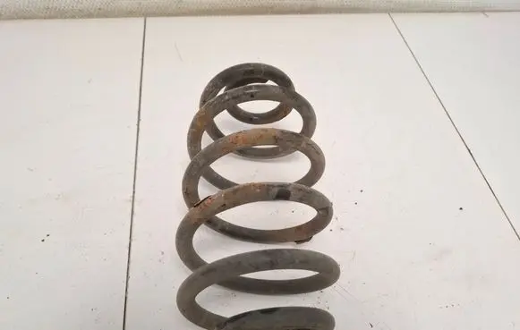 Rear coil spring
