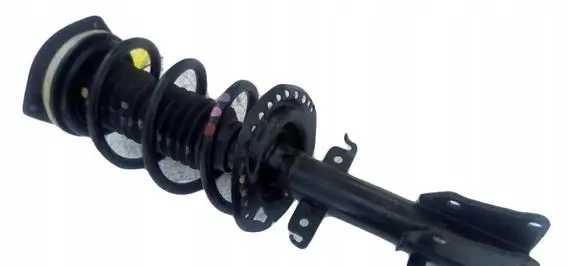 Renault Kangoo I Rear shock absorber/damper 1561133601