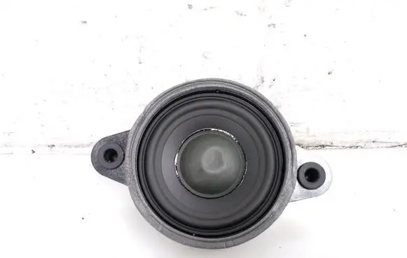 Panel speaker