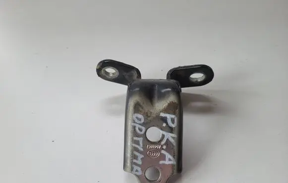 KIA Optima Front door lower hinge 