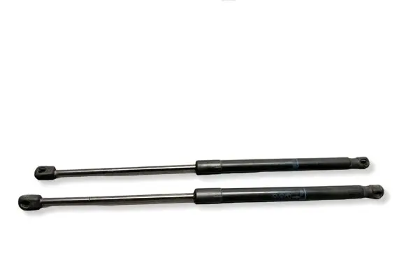 Opel Insignia A Tailgate/trunk strut/damper 315005777 22798954 1883420660N