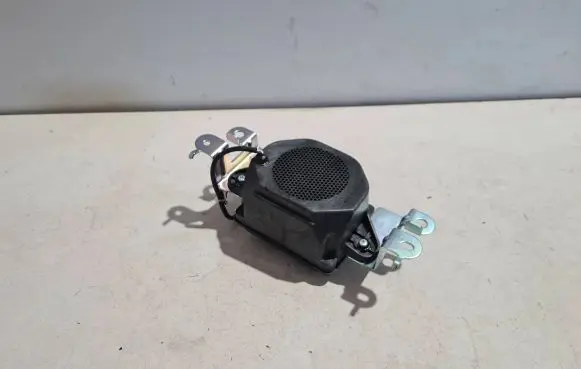 Panel speaker