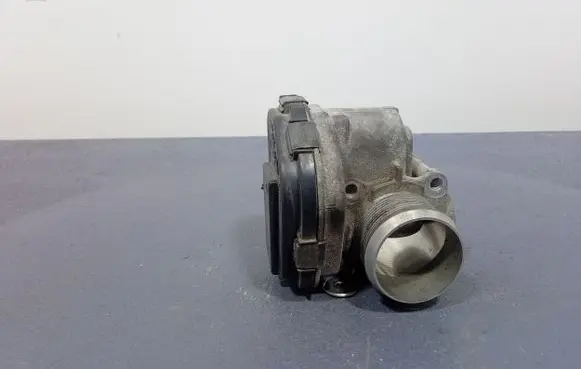 Throttle body valve