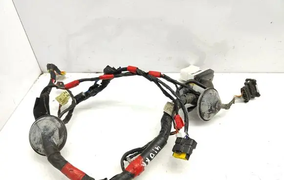 Front door wiring loom