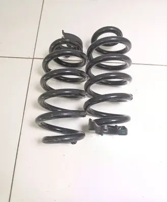 Rear coil spring