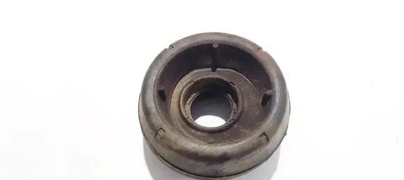 Coil spring mount