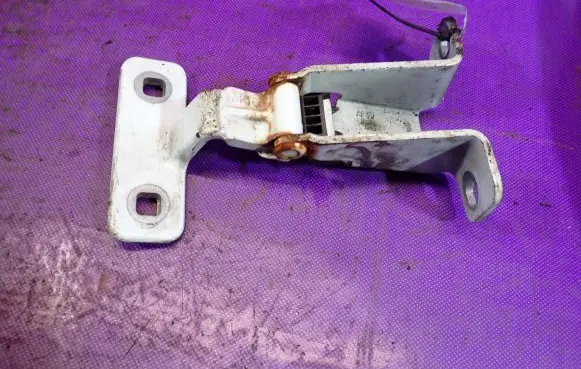 Dacia Dokker Front door lower hinge R9913R00001