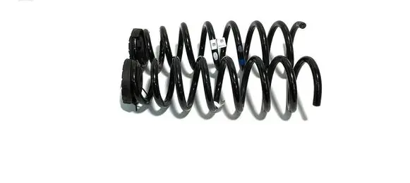 Rear coil spring