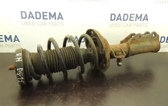 Opel Insignia A Front shock absorber with coil spring DS15