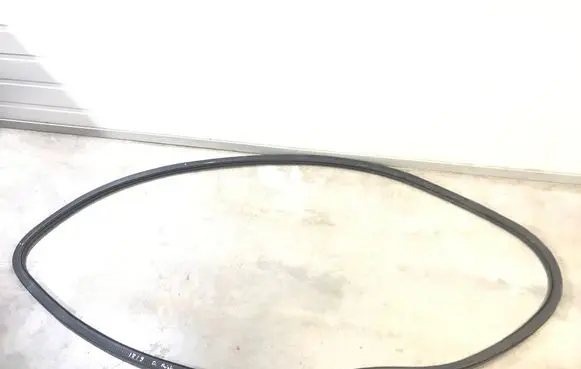 Chrysler Pacifica Front door rubber seal