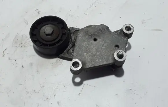 Volvo C30 Timing belt/chain tensioner 31251129