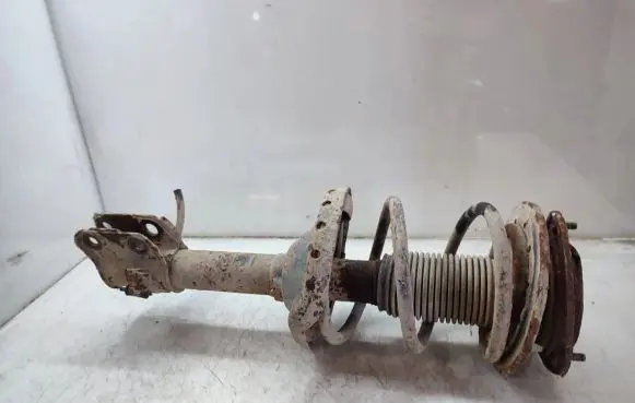 Front shock absorber with coil spring