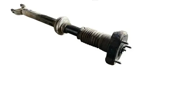 Mercedes-Benz CLS C219 Front shock absorber/damper