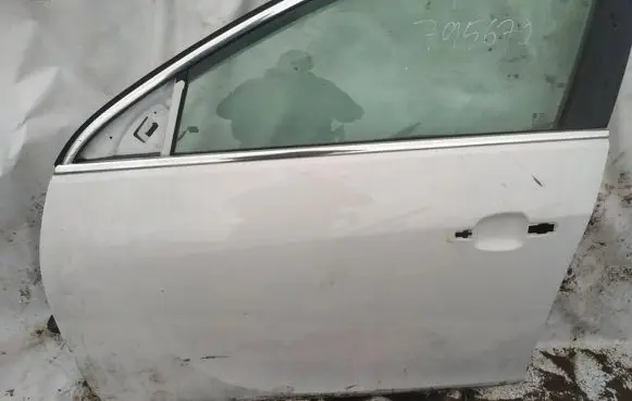 Opel Insignia A Front door baltos