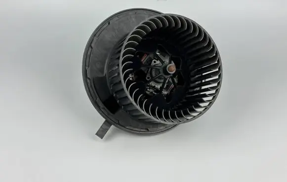 Mercedes-Benz A W169 Heater fan/blower A1698200642 982485P 0248595