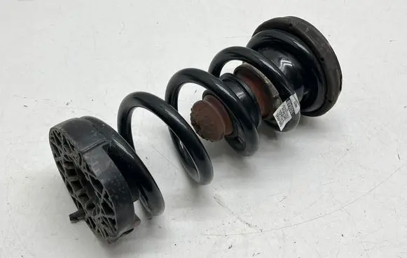 Rear coil spring
