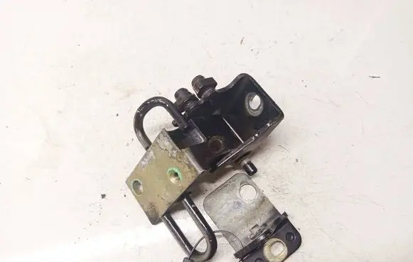 Volkswagen Touareg I Rear door lower hinge 