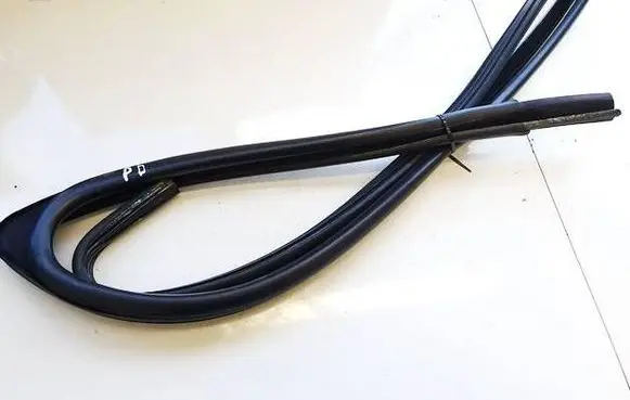 Peugeot 307 Rubber seal front coupe door 9634454499