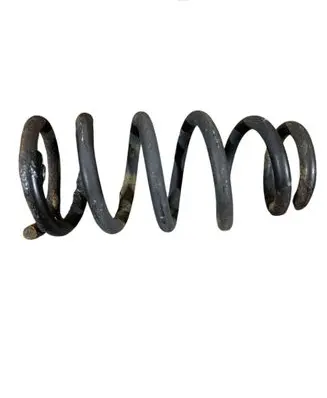 Rear coil spring