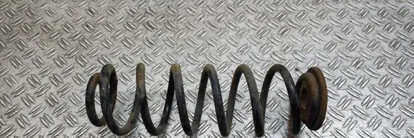 Rear coil spring