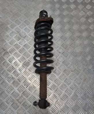 Dodge Journey Rear shock absorber/damper