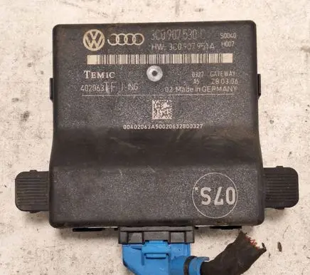 Volkswagen PASSAT B6 Gateway control module 3C0907530C 402063