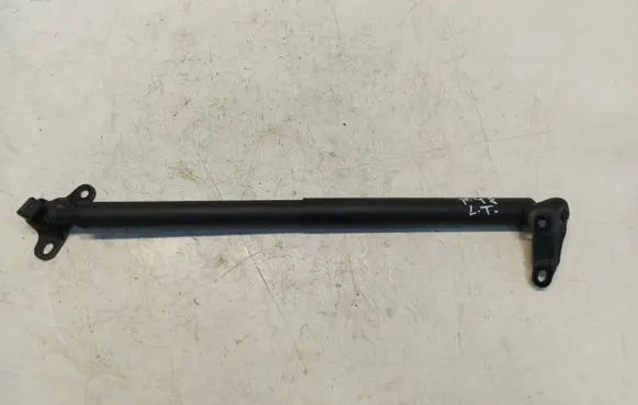 Tailgate strut