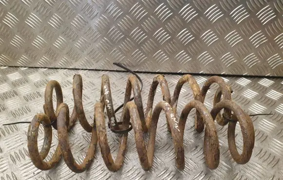 Volkswagen PASSAT B6 Rear coil spring