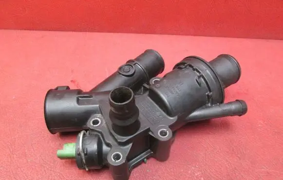 Thermostat/thermostat housing