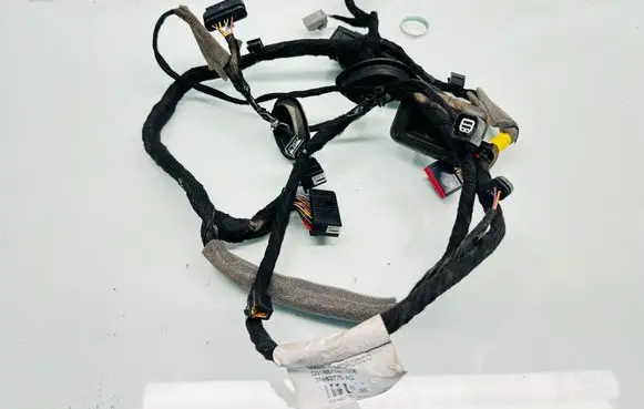 Front door wiring loom