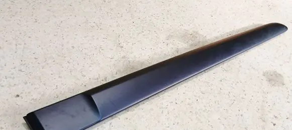 Renault Modus Rear door trim (molding) 8200213817