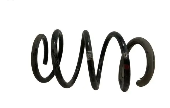 Renault Megane III Front coil spring 540100054R