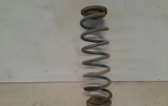 Volkswagen PASSAT B6 Rear coil spring