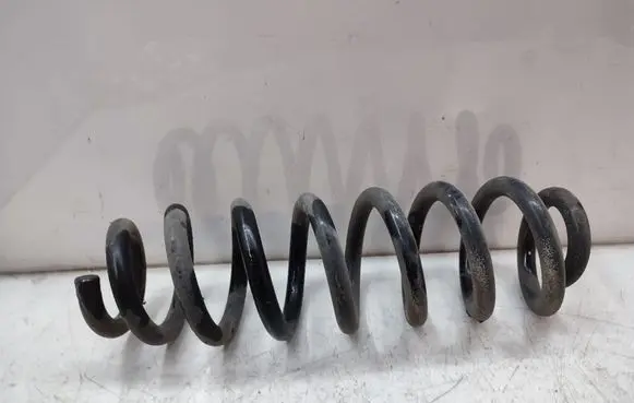 Opel Insignia B Rear coil spring