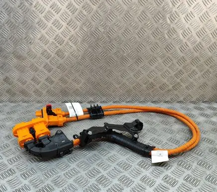 Cupra Born Other wiring loom 1EA971015S