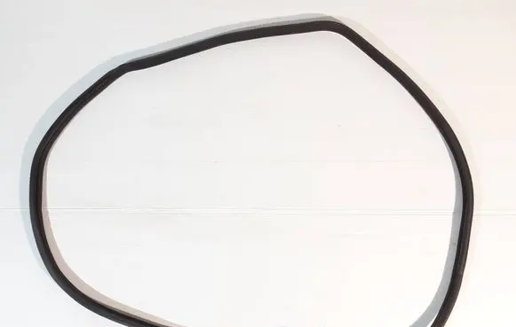 MG ZS Rear door rubber seal (on body) 