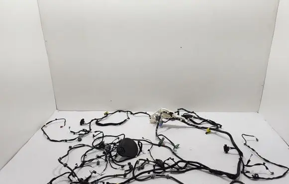 Other wiring loom